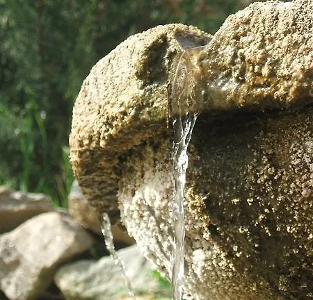 Ciuci's Manor مزرعة للإقامة Aragona