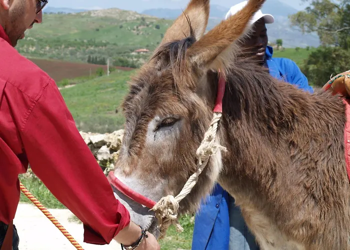 休奇庄园酒店 *