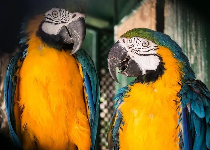 休奇庄园酒店 农家乐 Aragona