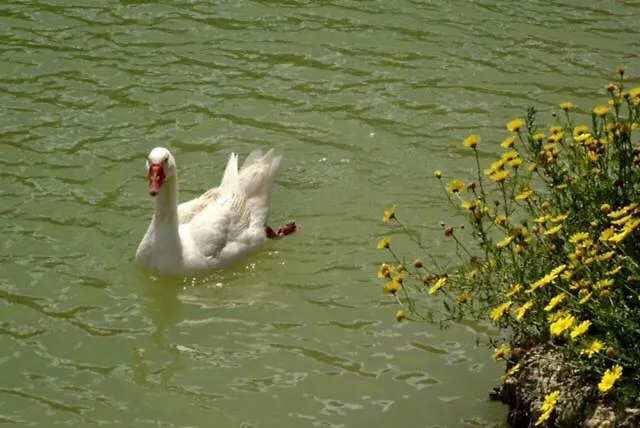 农家乐 休奇庄园酒店 *