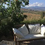 Ciuci's Manor