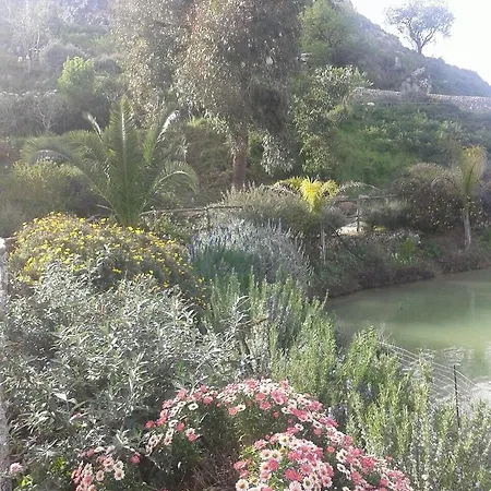 Farm stay Ciuci's Manor *