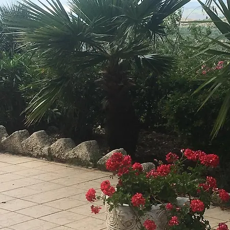 Farm stay Ciuci's Manor Aragona