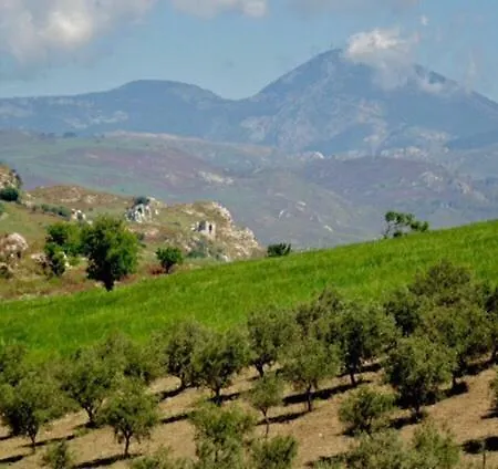Alloggio per agriturismo Ciuci's Manor