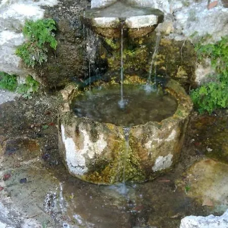 Ciuci's Manor Séjour à la ferme *