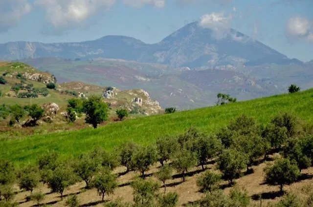 Farmház Ciuci's Manor