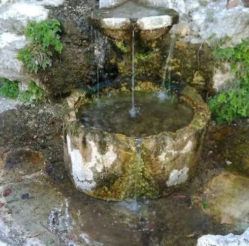 Ciuci's Manor Farmház *